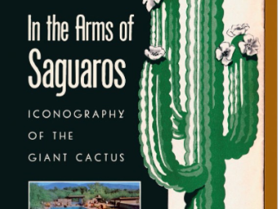 Cover of a book entitled, "In the Arms of the Saguaros"
