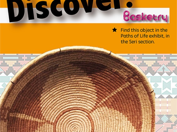 Discover Basketry Seri poster