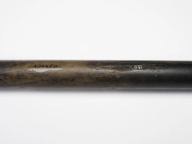 Detail of body, A-14550, 620–670 CE (Common Era=AD). 