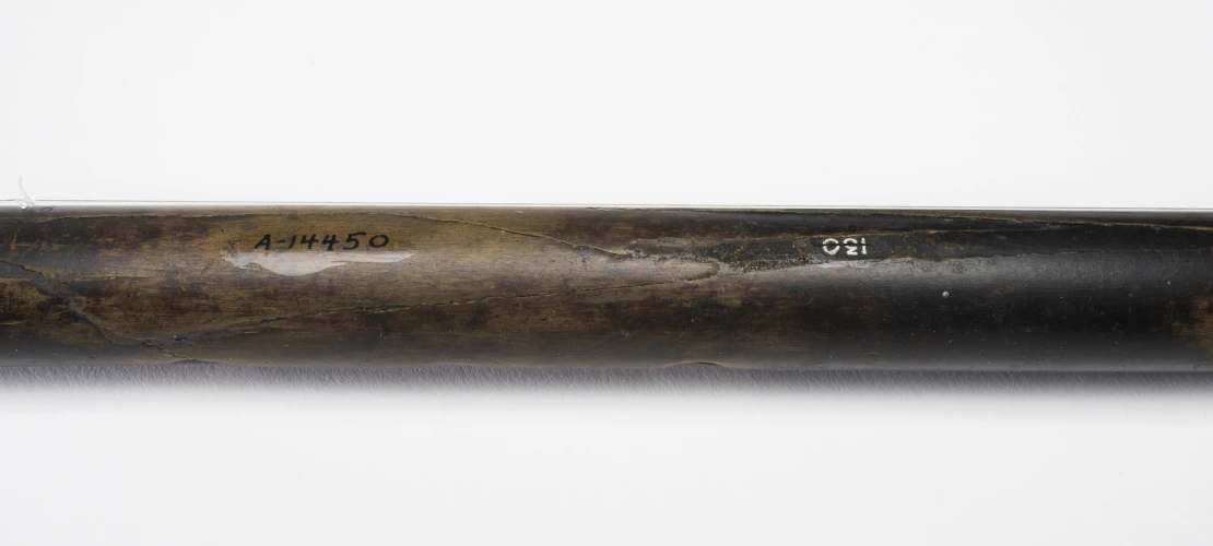 Detail of body, A-14550, 620–670 CE (Common Era=AD). 