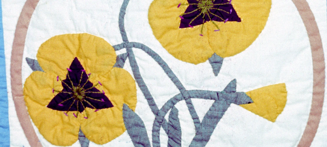 Mariposa Lily - Row 6