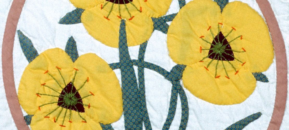 Mariposa Lily - Row 1