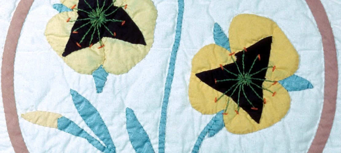 Mariposa Lily - Row 1