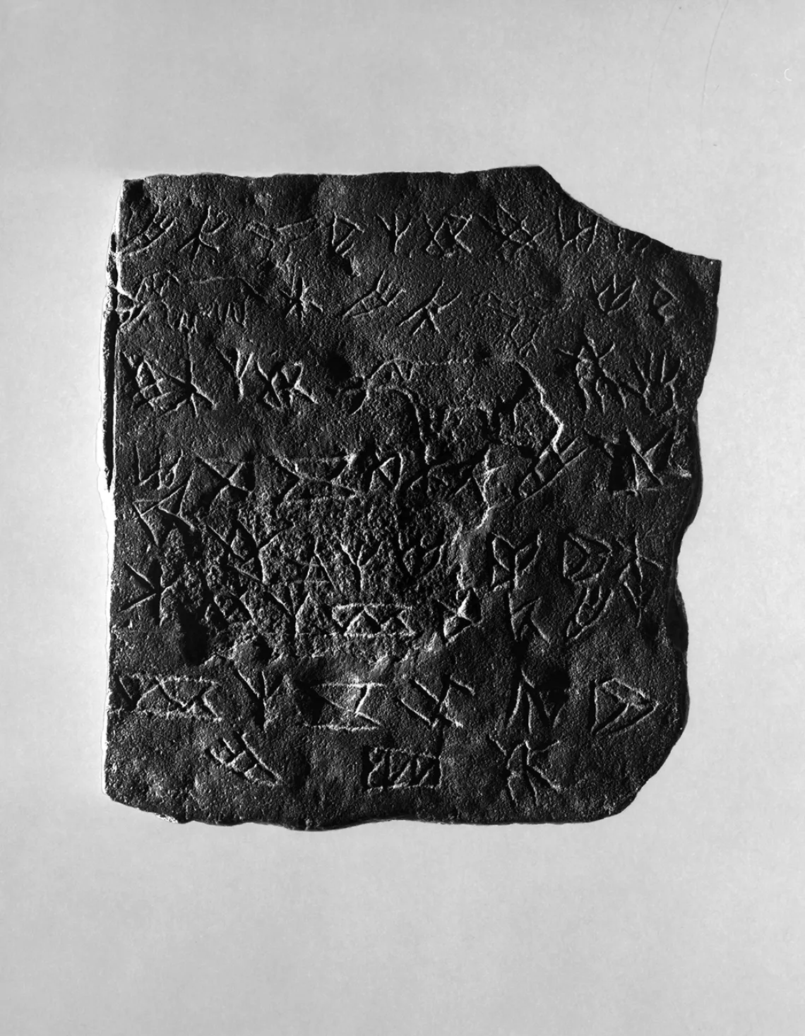 Elephant Slab