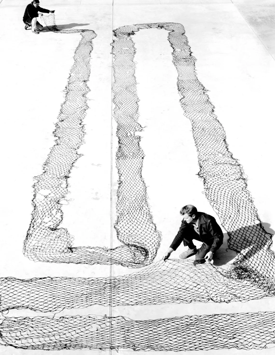 Rabbit Nets