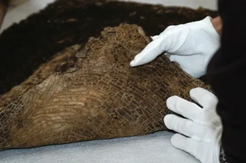 Fragment of a Sacred Fur Robe of the Ninth Panchen Lama, Tibetan, c. 1930