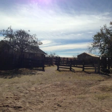 historic ranch setting in southern Arizona, showing two wooden structures behind a wooden fence on grassy land